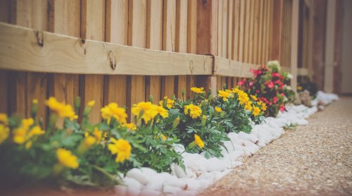 Flower bed do’s and don’ts