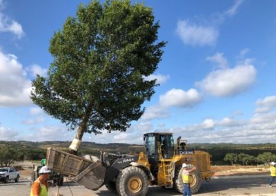 Sweetwater Hill Top Oak Installation