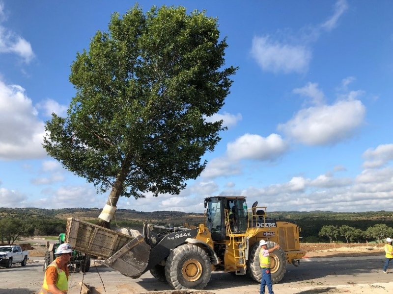 Sweetwater Hill Top Oak Installation