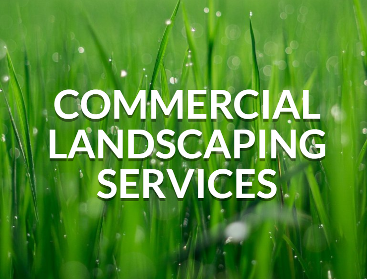 Ecosystems Landscape Services, Landscaping Services Austin